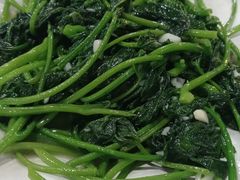 -四姑娘川味海鲜(八爪鱼店)