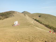 -大姆山草场