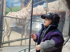 -鄂尔多斯野生动物园