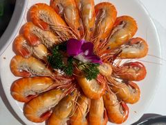 -海城餐厅(三元里店)