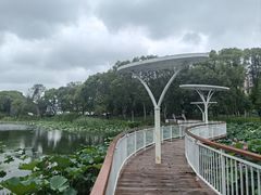 -新江湾城公园