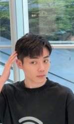 -YESIDO椰岛造型