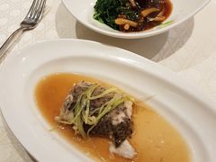 -桃苑(华侨银行大厦店)