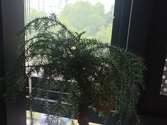 -大拙里·精致融合菜(沙湖桃源国际店)