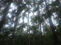 -日月潭