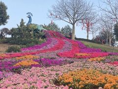 -东莞植物园