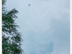 -东郊湿地公园