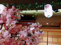 -汤泉良子(金源店)