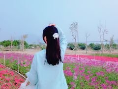 -芒洲湿地公园