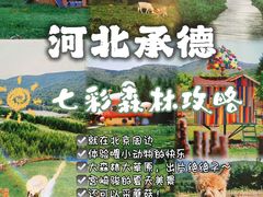 -丰宁坝上草原