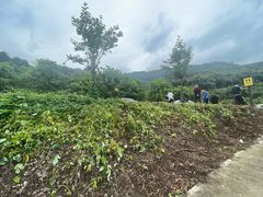 -樱桃山旅游景区