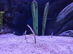 -海合安成都极地海洋公园