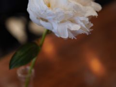 -black rainbow coffee