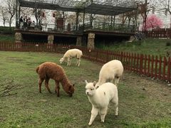 -盈香心动乐园