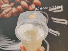 酸奶冰淇淋-白色日记·手作酸奶(麦凯乐店)