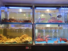 -南海渔村(珠江新城店)