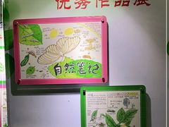 -上海昆虫博物馆