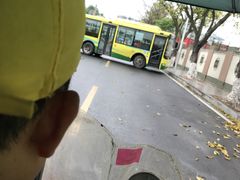 -鱼珠码头(轮渡站)