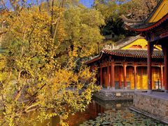 -华清宫景区