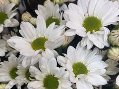 -拾花记花艺·求婚·订婚·生日布置(高新店)