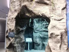 -陕西自然博物馆