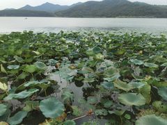 -东钱湖旅游度假区