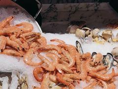 -沈阳和平艾美酒店新食谱西餐厅