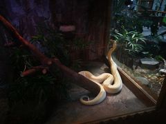 -上海昆虫博物馆