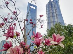 -陆家嘴中心绿地