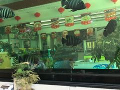 -添福来墨鱼饺子 · 海鲜东北菜(大连星海·黄浦路店)