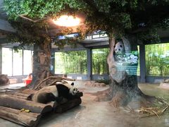 -海南热带野生动植物园
