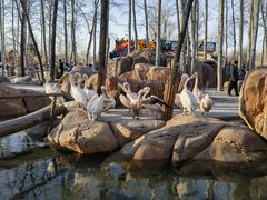 -北京野生动物园