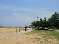 -日照海滨国家森林公园