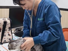 -瑞派宠物医院(搏威敦和院)