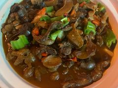 -龙小海荆沙鸽子店(瑞安街店)