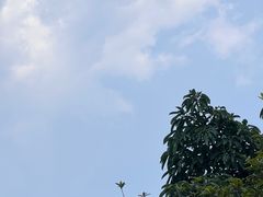 -成都欢乐谷