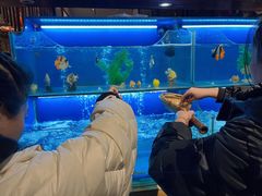 -芭菲盛宴·环球美食(北城国际店)