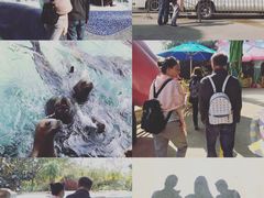 -珠海横琴长隆《卡卡虎奇遇记》