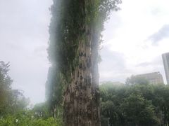 -西宁市人民公园(城西区)