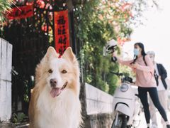 -豆舞咖啡(民乐路店)