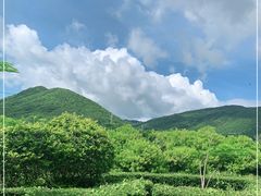 -亚龙湾国际玫瑰谷