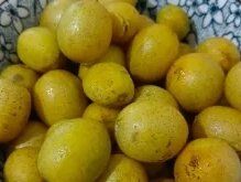 -姜美堂·蒸姜除湿の纤体美颜馆