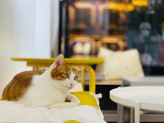 -W Coffee(船板巷店)