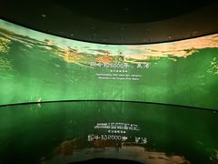 -中国湿地博物馆