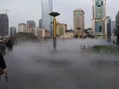 -鸿运兔·手撕烤兔(天府广场店)