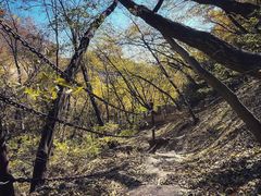 -云峰山自然风景区
