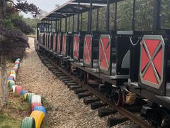 -武汉紫薇都市田园