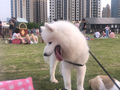 -栖露营camping·天幕烧烤·团建拓展·采摘营地