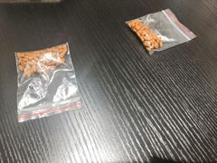 -逗柴咖啡屋·狗咖猫咖宠物桌游