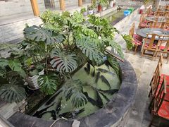 -燕北云山·农家菜·灶台鱼(密云溪翁庄店)